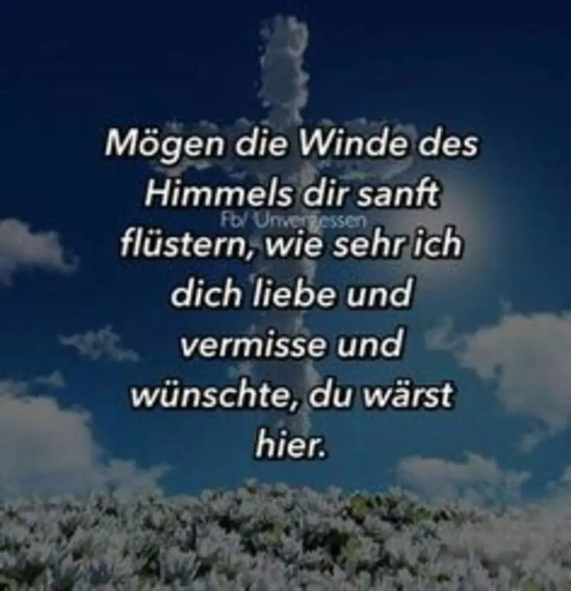 Condolence image of Brigitte mit Nelly, Benny und Axel im Herzen