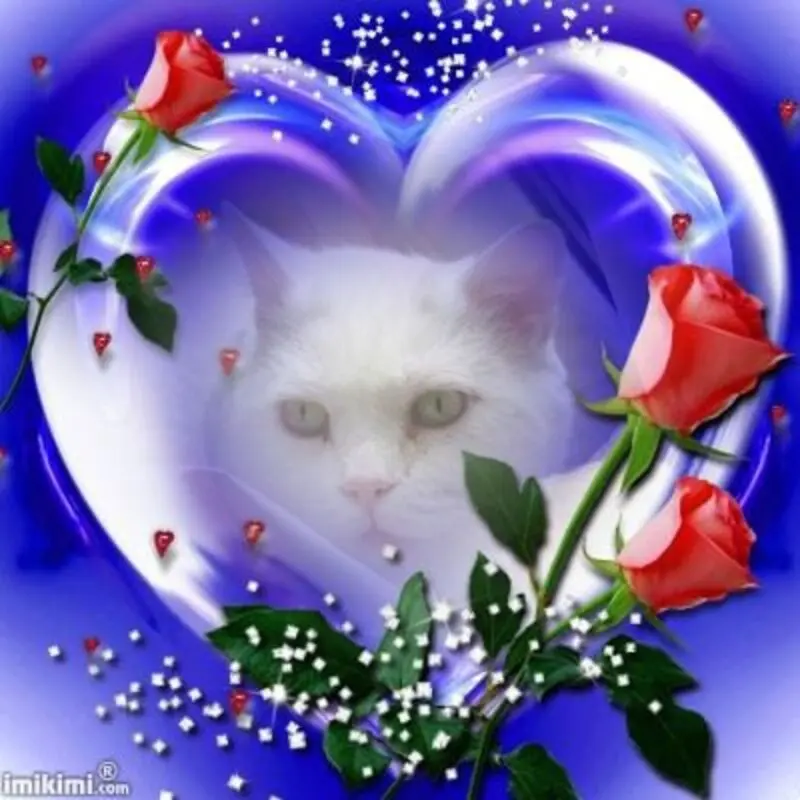 Condolence image of Jutta und Axel mit Purzel tief im Herzen 