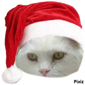 Condolence image of Tanja mit Timmy im Herzen