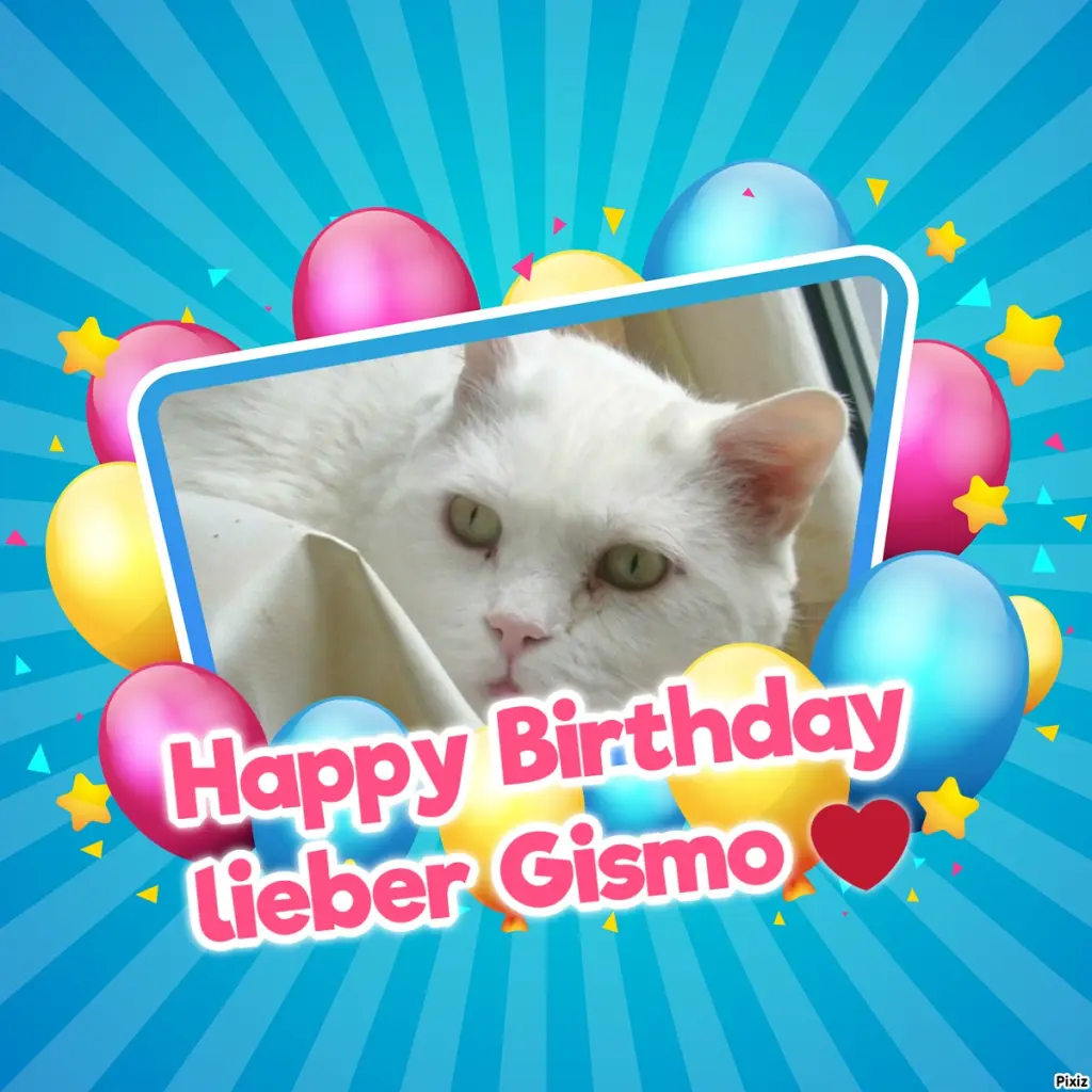 Condolence image of Tanja mit Timmy im Herzen 