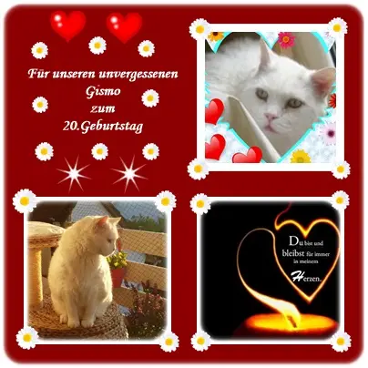 Condolence image of deiner Ilse zum 20. Geburtstag