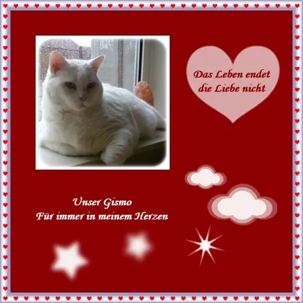 Condolence image of deiner Ilse in Liebe zum 44. Gedenkmonat