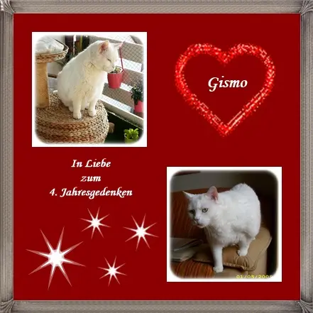 Condolence image of deiner Ilse in Liebe zum 4. Jahresgedenken