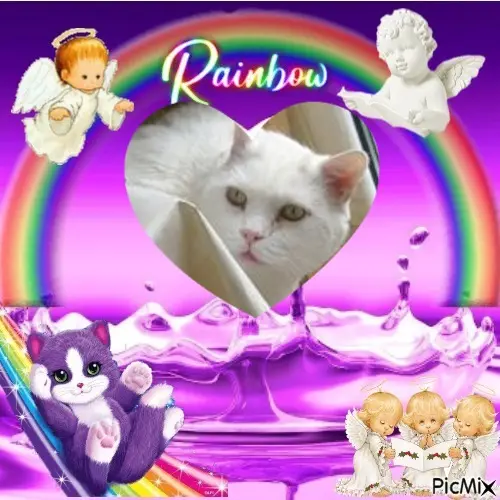 Condolence image of 4.Sternchen❤️Gedenktag❤️❤️❤️❤️