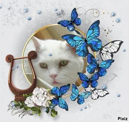 Condolence image of Tanja mit Timmy im Herzen