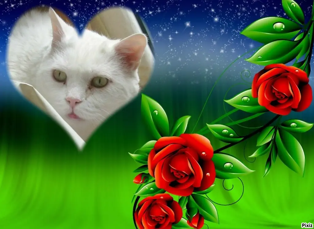 Condolence image of Tanja mit Timmy im Herzen