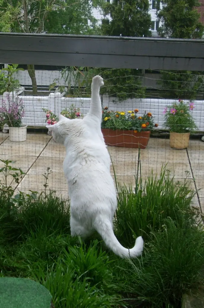 Condolence image of deiner Ilse in Liebe zum 53. Gedenkmonat