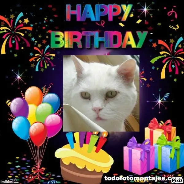 Condolence image of Tanja mit Timmy im Herzen