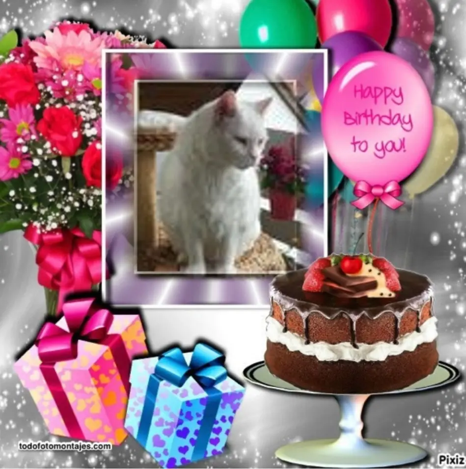 Condolence image of 21.Geburtstag❤️❤️❤️❤️❤️❤️❤️❤️❤️❤️❤️❤️❤️❤️❤️❤️❤️❤️❤️❤️❤️