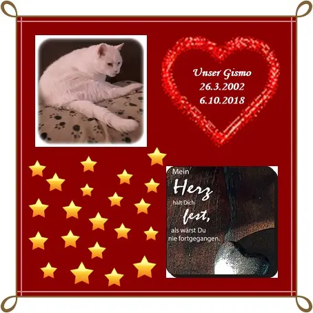 Condolence image of deiner Ilse in Liebe zum 21. Geburtstag