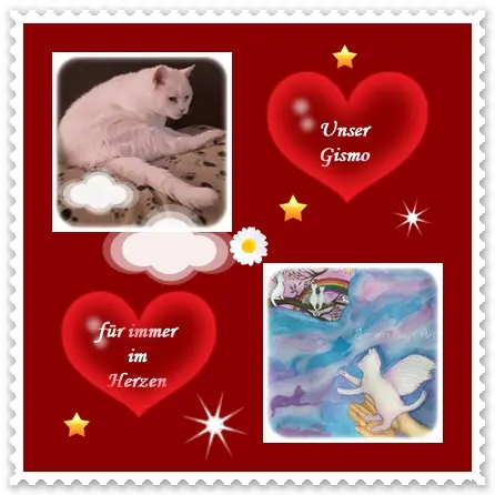 Condolence image of deiner Ilse in Liebe zum 55. Gedenkmonat