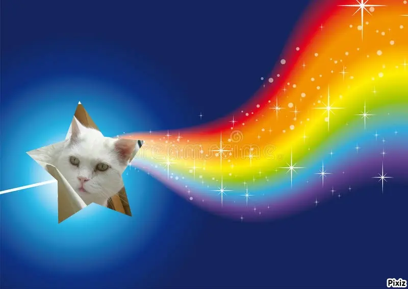 Condolence image of Tanja mit Timmy im Herzen