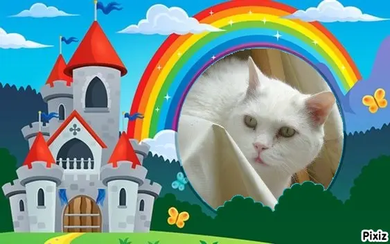 Condolence image of Tanja mit Timmy im Herzen