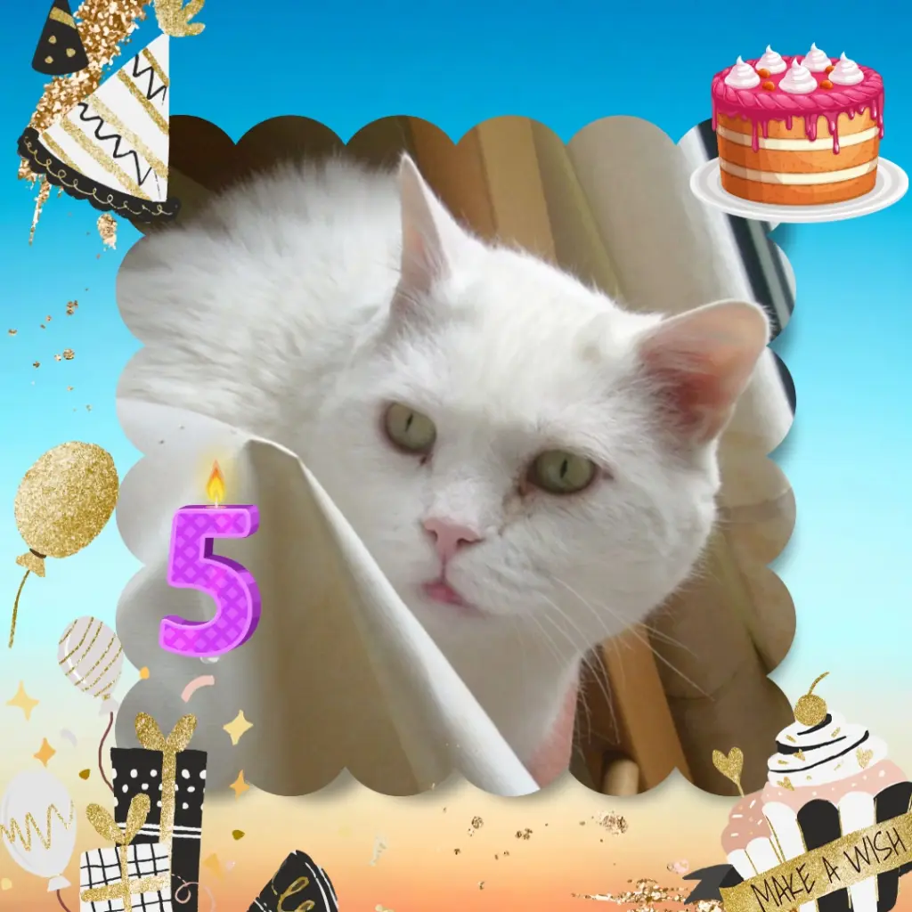 Condolence image of ❤️Eike und Edeltraud ❤️ 