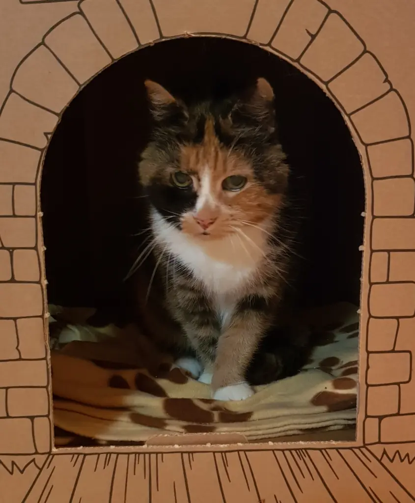 Condolence image of Ilse für mein geliebtes Mückchen