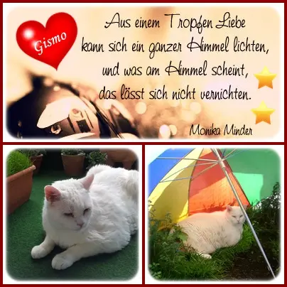 Condolence image of deiner Ilse in Liebe zum 63. Monatsgedenken