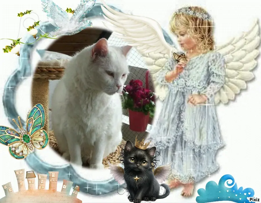 Condolence image of Tanja mit Timmy im Herzen