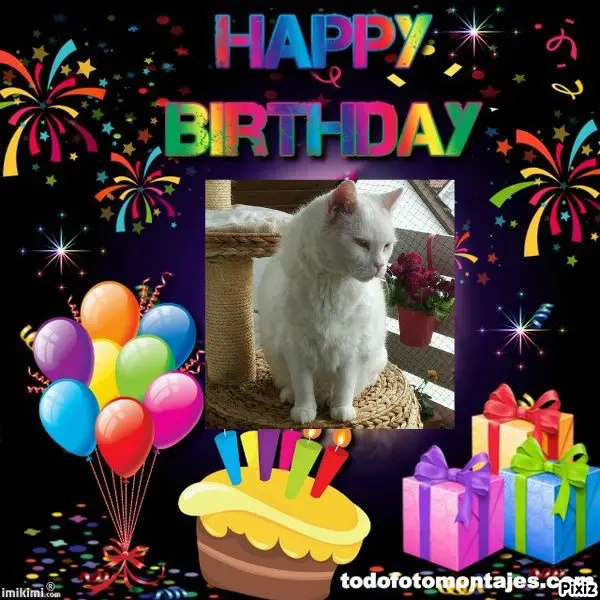 Condolence image of Tanja mit Timmy im Herzen