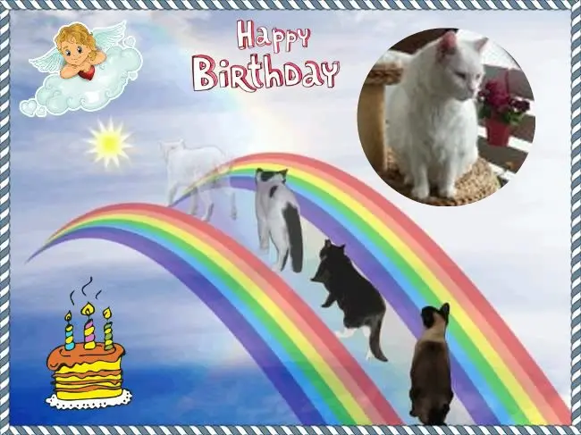 Condolence image of 22.Geburtstag❤️❤️❤️❤️❤️❤️❤️❤️❤️❤️❤️❤️❤️❤️❤️❤️❤️❤️❤️❤️❤️❤️