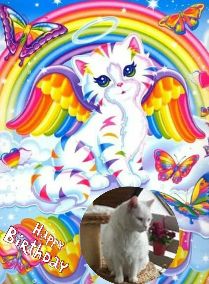 Condolence image of ❤️❤️❤️❤️❤️❤️❤️❤️❤️❤️❤️❤️