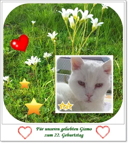 Condolence image of deiner Ilse in Liebe zum 22. Geburtstag