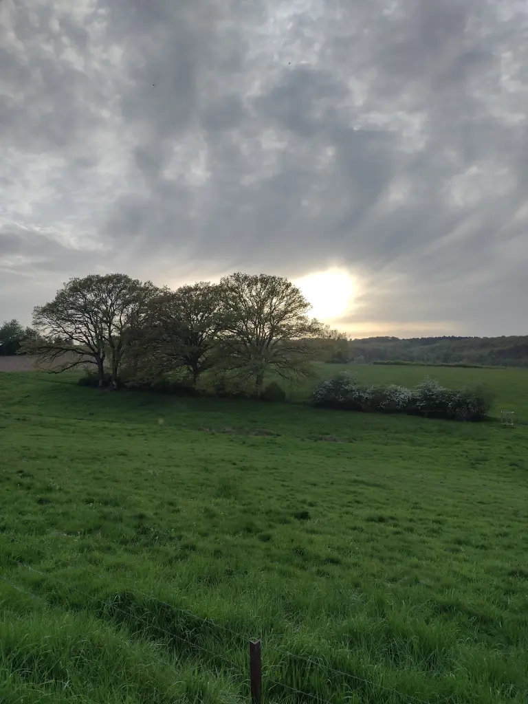 Condolence image of 67☀️Corinna♥️