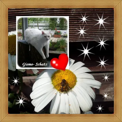 Condolence image of deiner Ilse in Liebe zum 68. Gedenkmonat