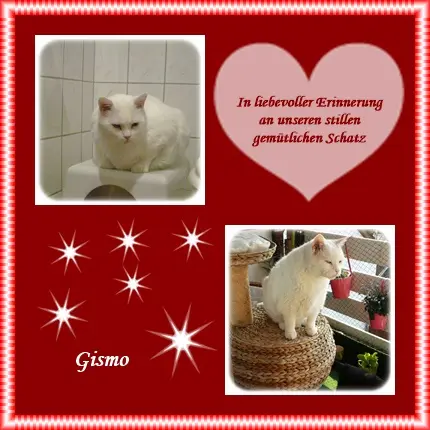 Condolence image of deiner Ilse in Liebe zum 6. Jahresgedenken