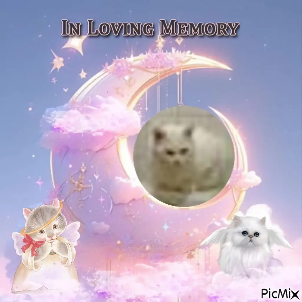 Condolence image of ❤️❤️❤️❤️❤️❤️❤️❤️❤️❤️❤️❤️