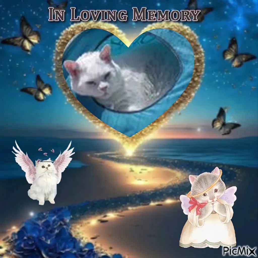 Condolence image of ❤️❤️❤️❤️❤️❤️❤️❤️❤️❤️❤️❤️