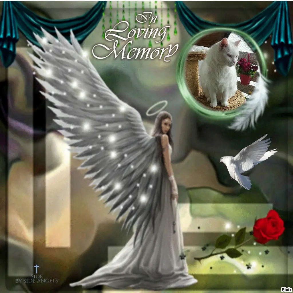 Condolence image of Tanja mit Timmy im Herzen