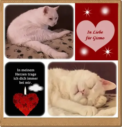 Condolence image of deiner Ilse in Liebe zum 73. Gedenkmonat