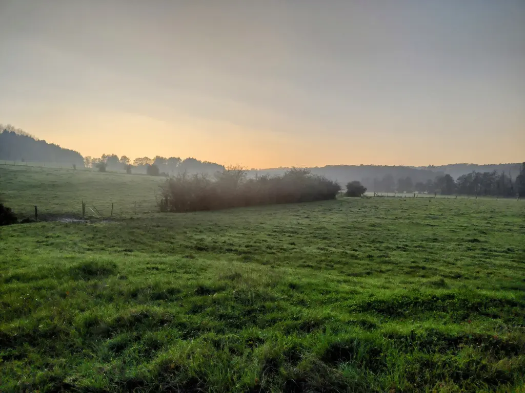 Condolence image of Corinna mit Emma, Vinni-Ved, Jengi, Blacky ,Pummelchen und anderen Sternlein im Herzen