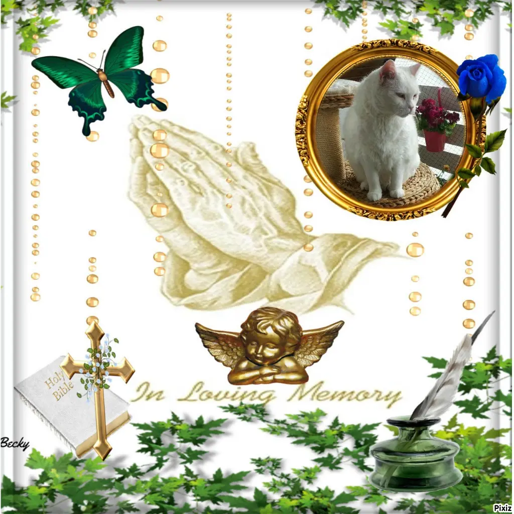 Condolence image of Tanja mit Timmy im Herzen