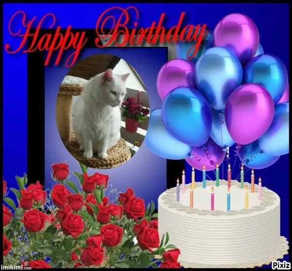 Condolence image of Tanja mit Timmy im Herzen 