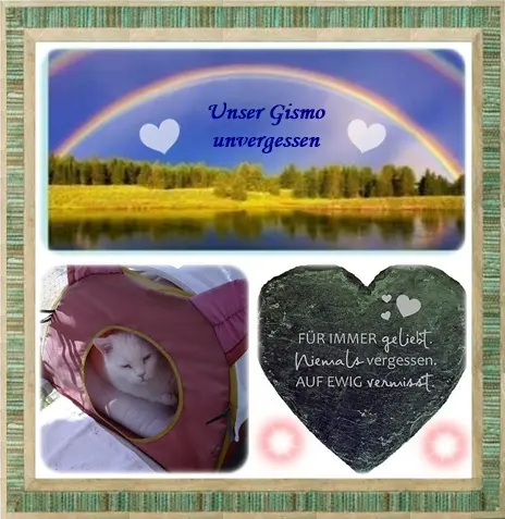 Condolence image of deiner Ilse in Liebe zum 83. Monatsgedenken