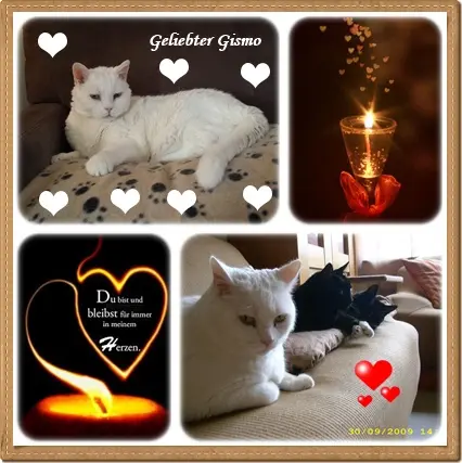 Condolence image of deine Ilse in Liebe zum 7. Jahresgedenken