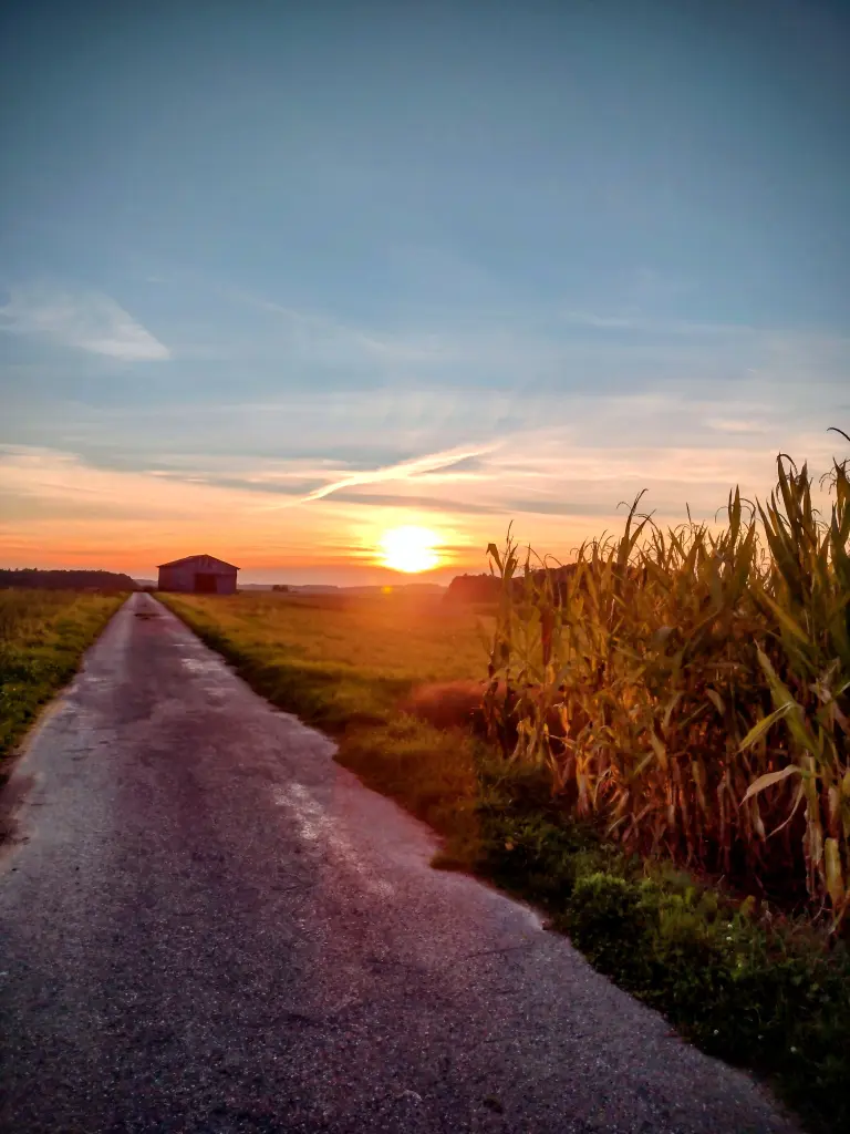 Condolence image of Corinna ❤️