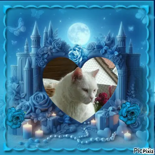 Condolence image of Tanja mit Timmy im 💘