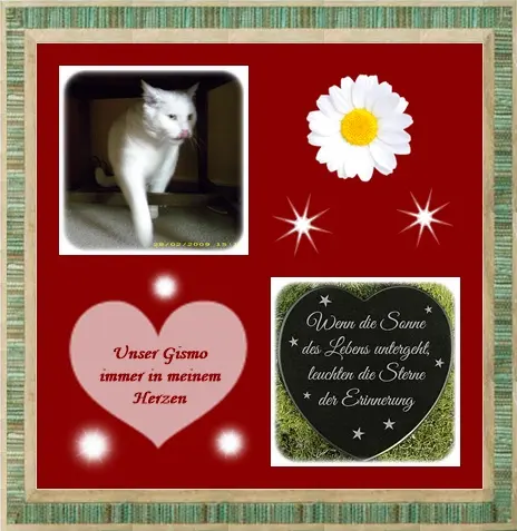 Condolence image of Deine Ilse in Liebe zum 88. Monatsgedenken