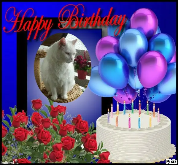 Condolence image of Tanja mit Timmy im 💖🐈🐾