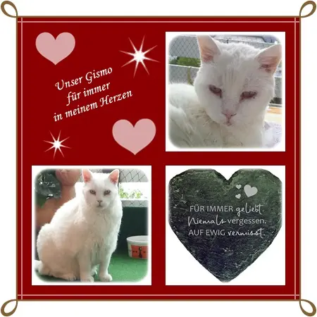 Condolence image of Deine Ilse in Liebe zum 24. Geburtstag