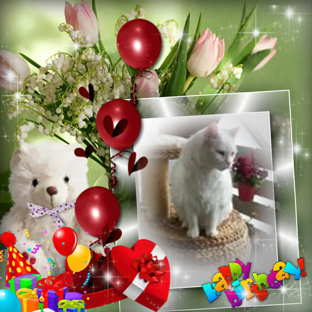 Condolence image of 24.Geburtstag❤️❤️❤️