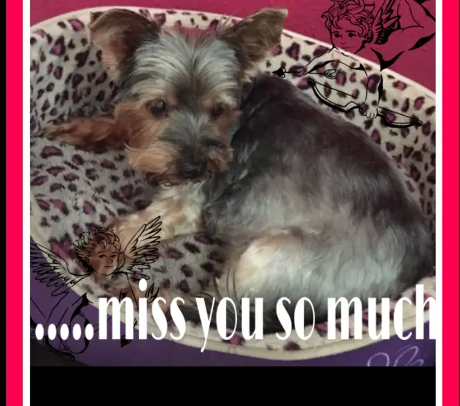 Image from Nikki