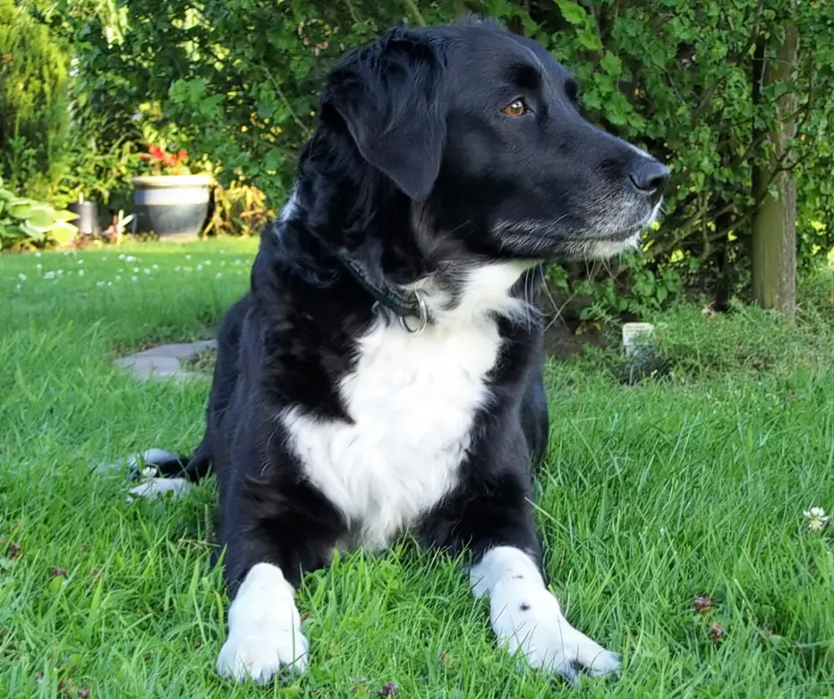 Condolence image of Sabine Mit Maxi im Herz