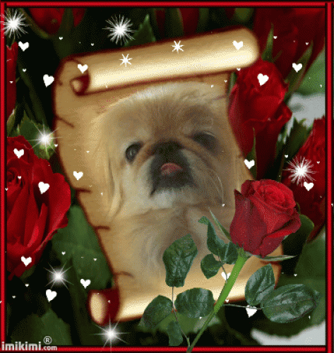 Image from meine Engelchen ?Sina & Nager?