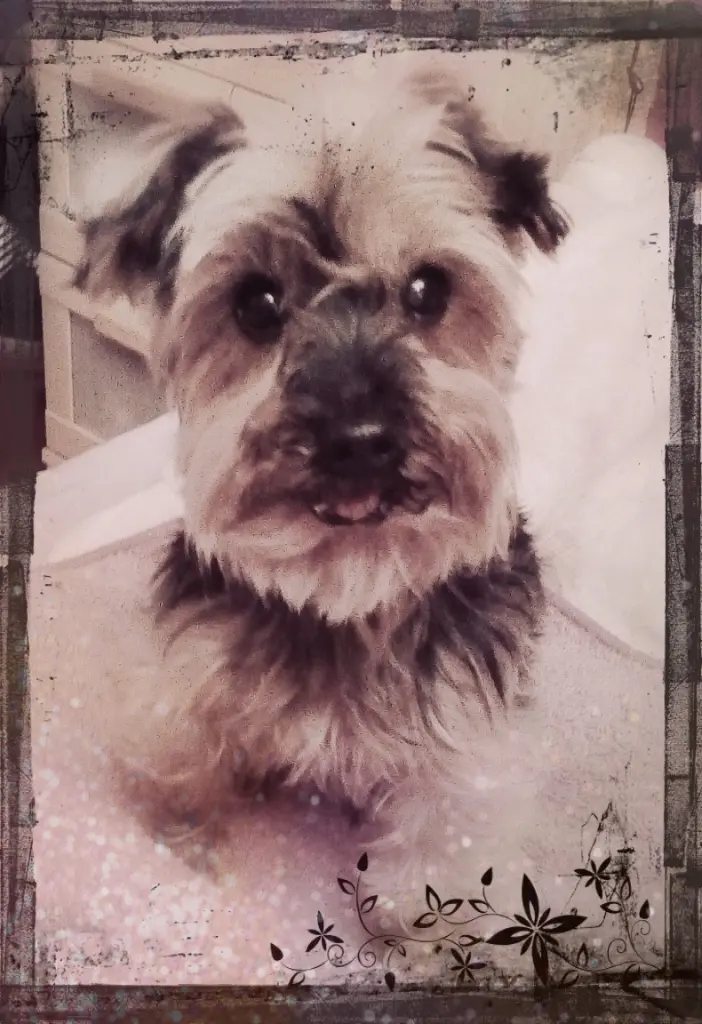Condolence image of Sabine