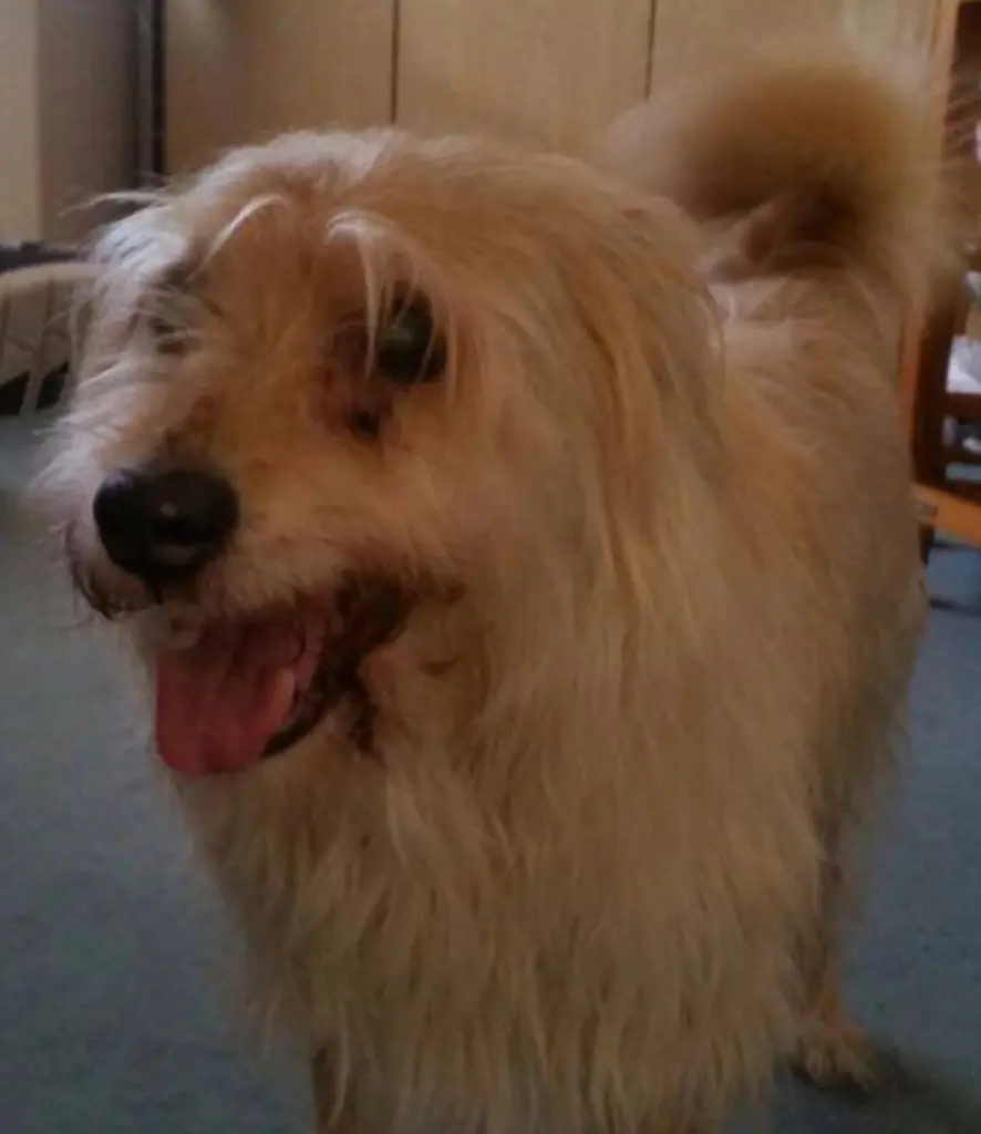 Image from Monty