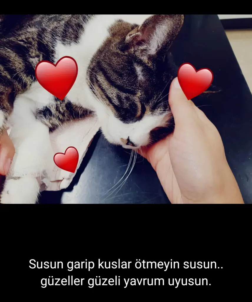Image from Badem