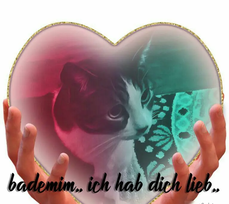 Image from Badem